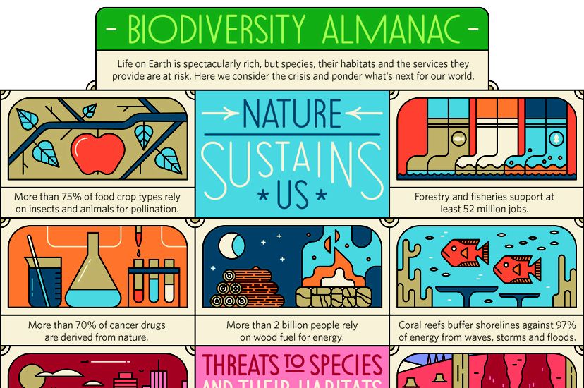 a colorful infographic explains the importance of biodiversity.