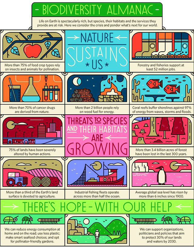 a colorful infographic explains the importance of biodiversity.