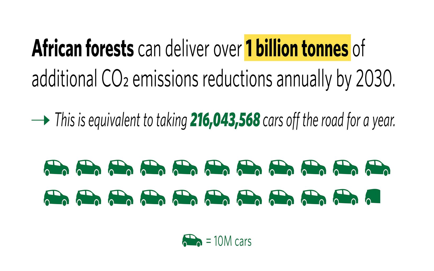 Forest Carbon Sequestration   