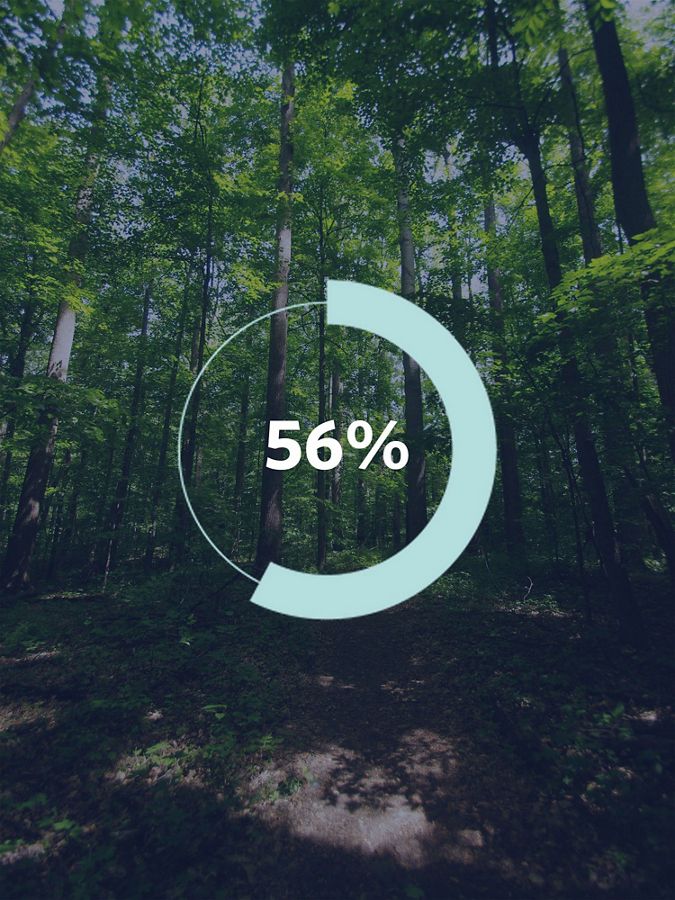 Graphic showing a tree and the number '56%'.