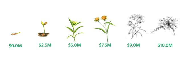 An infographic that shows funds raised for the Our World campaign.