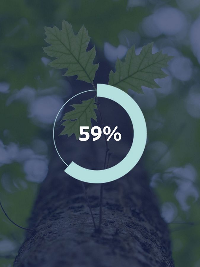 Graphic showing a tree and the number '59%'.