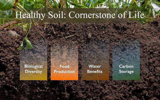 Text over an image of soil. Healthy Soil: Cornerstone of Life. Biological Diversity, Food Production, Water Benefits, Carbon Storage.