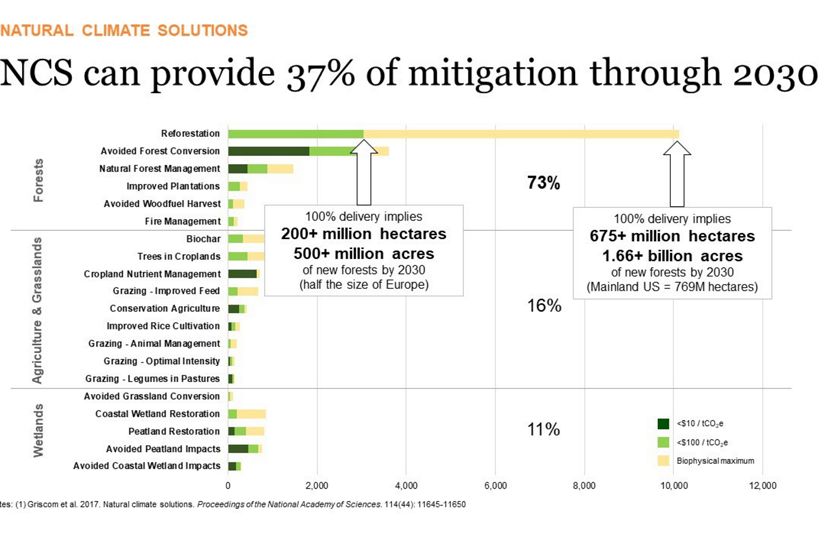 Graph showing need for reforestation as a way to mitigate climate change.