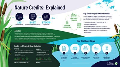 Infographic explaining nature credits and how they work. 