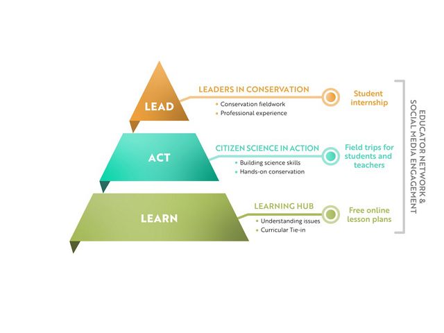 A pyramidal graphic showing the Lead-Act-Learn process. 