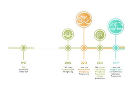 A graphic of a timeline.