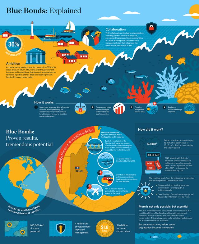 A large infographic showing a healthy ocean and coastal ecosystem and blocks of text about the opportunity of Blue Bonds: ocean protection commitments and collaboration with diverse stakeholders.