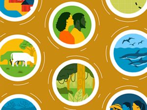Illustration with circles containing imagery of people, jungle, dolphins, cattle, houses, and mangroves against a mustard yellow background.