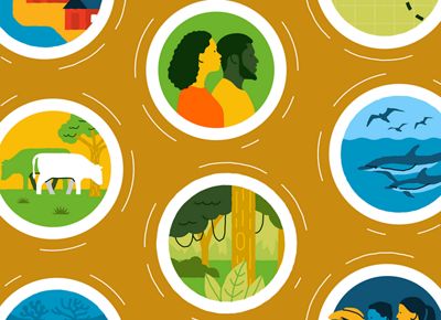 Illustration with circles containing imagery of people, jungle, dolphins, cattle, houses, and mangroves against a mustard yellow background.