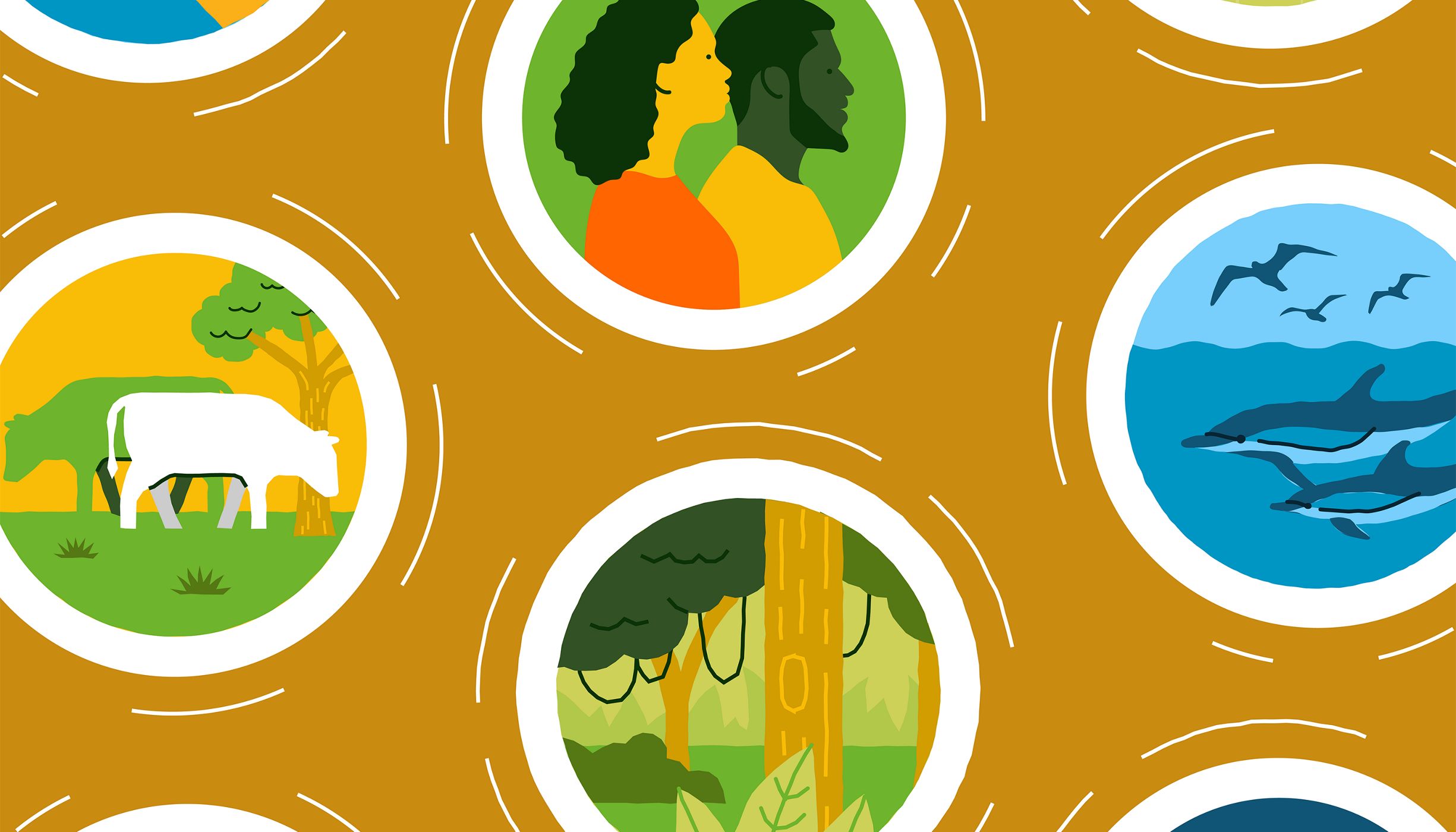 illustration with circles containing imagery of people, jungle, dolphins, cattle, houses, and mangroves against a mustard yellow background