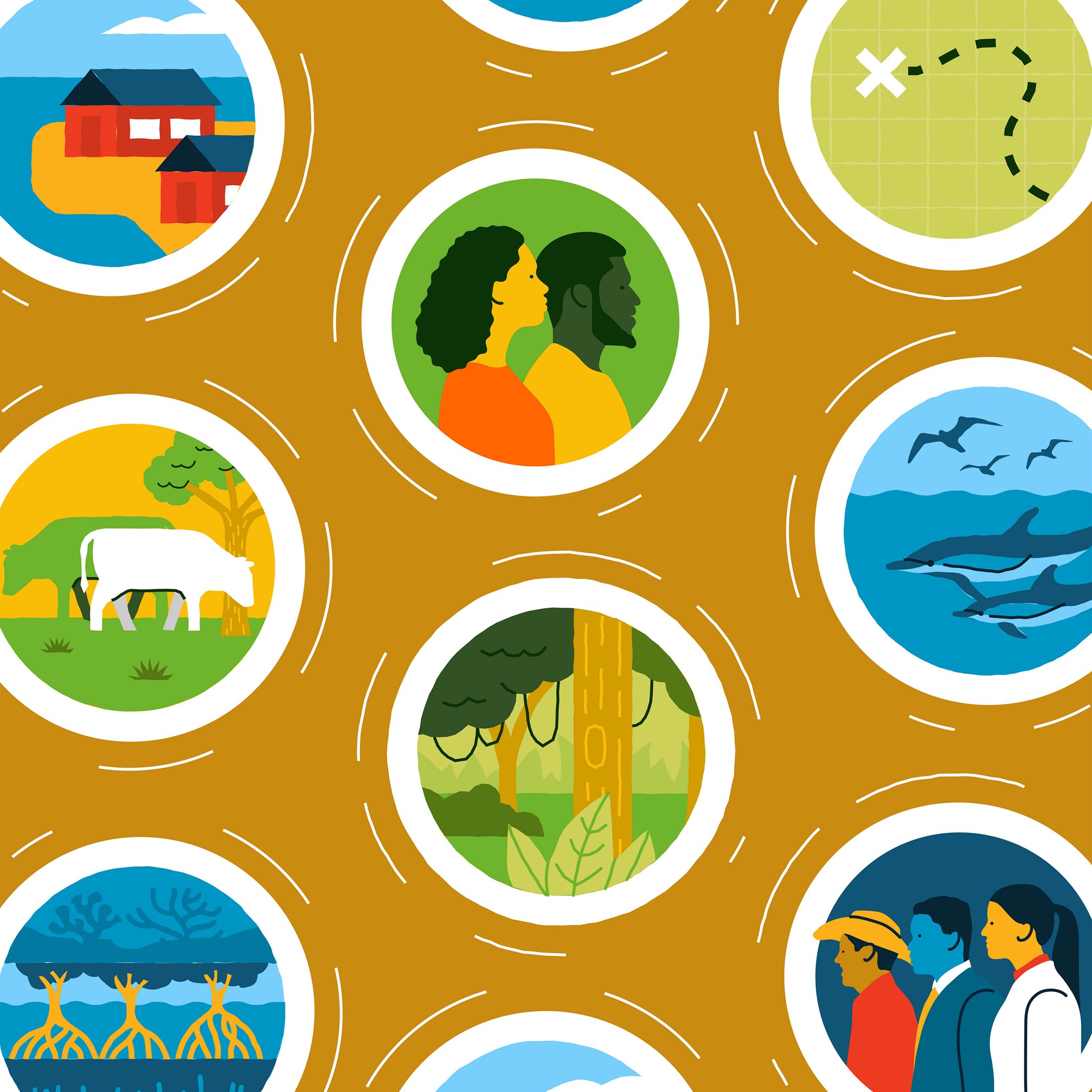 Ilustración con círculos que contienen imágenes de personas, selva, delfines, ganado, casas y manglares sobre un fondo amarillo mostaza.