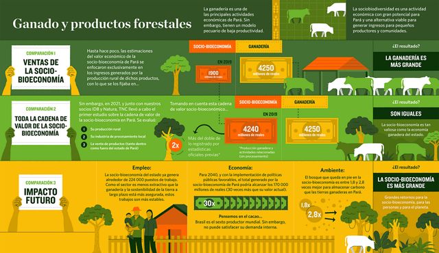 An infographic shows comparisons of three different scenarios concerning cattle farming and the sociobioeconomy in Pará, showing that the socio-bioeconomy could have larger positive impact for economy