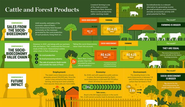 An infographic shows comparisons of three different scenarios concerning cattle farming and the sociobioeconomy in Pará, showing that the socio-bioeconomy could have larger positive impact for economy