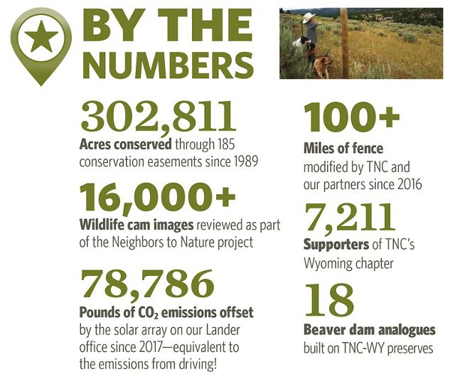 Conservation numbers from annual report.
