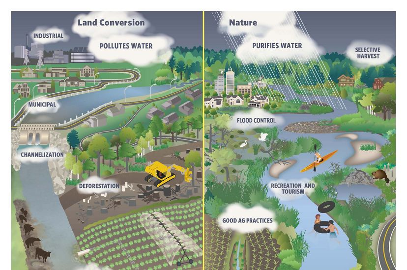 Infographic illustrating two approaches to land and water: nature and conversion. Nature side includes flood control, tourism and habitat. Conversion side includes pollution, deforestation, etc.
