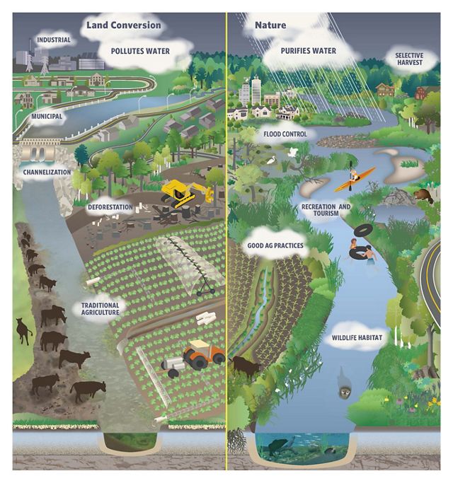 Infographic illustrating two approaches to land and water: nature and conversion. Nature side includes flood control, tourism and habitat. Conversion side includes pollution, deforestation, etc.