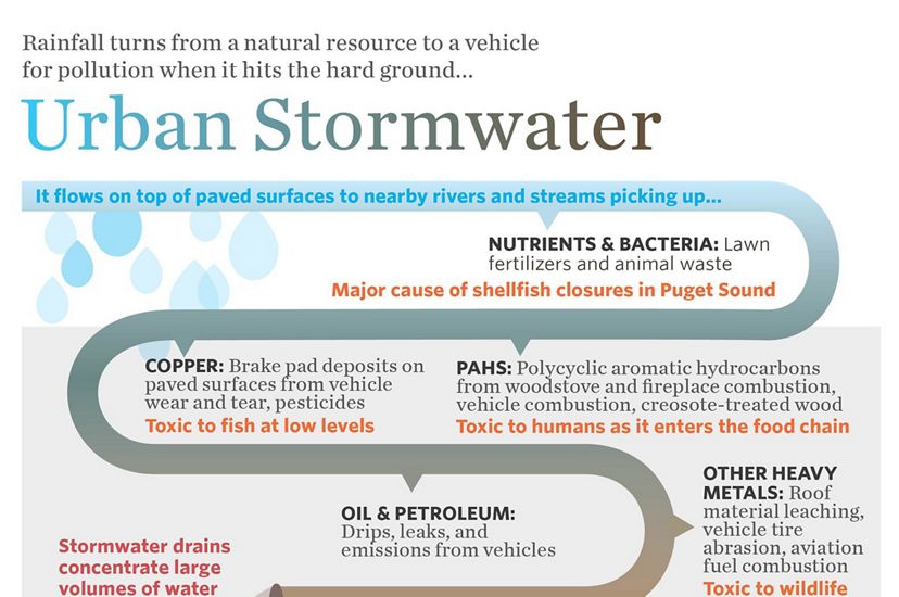 Rainfall turns from a natural resource to a vehicle for pollution when it hits the hard ground.