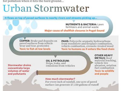 Rainfall turns from a natural resource to a vehicle for pollution when it hits the hard ground.