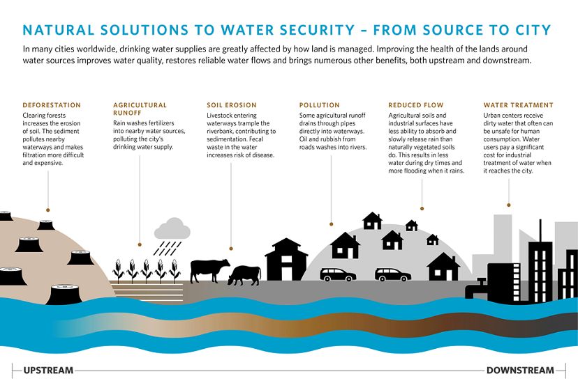 Infographic showing natural solutions to create a healthy watershed.