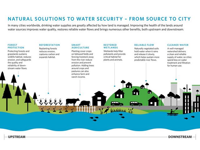 Infographic showing natural solutions to create a healthy watershed.