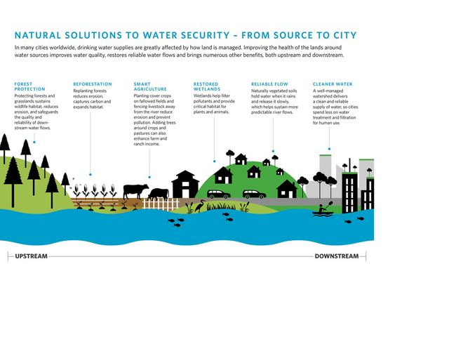 Infographic showing natural solutions to create a healthy watershed.