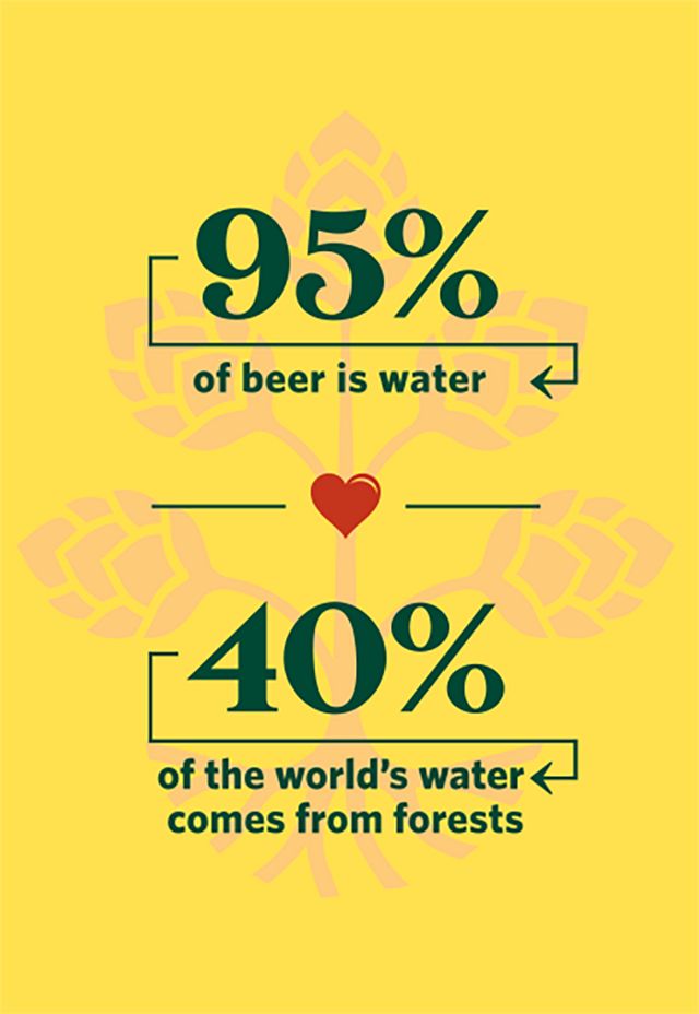 beer-water-forests