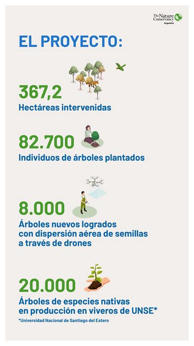 Infografía con detalles de la plantación de 100 mil árboles en el Gran Chaco. 