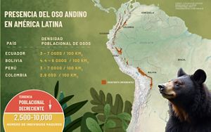 Infografía que muestra sobre un mapa de América Latina la distribución del oso andino, siguiendo la cordillera de Los Andes desde Colombia y Ecuador hasta Perú. 