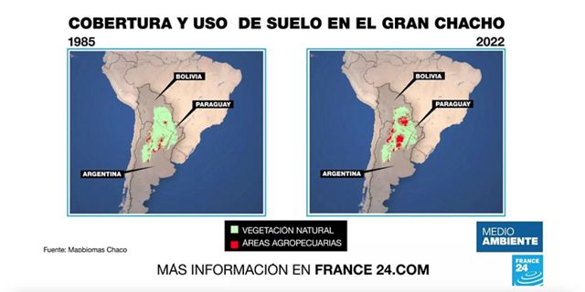 change in the Gran Chaco, according to MapBiomas.