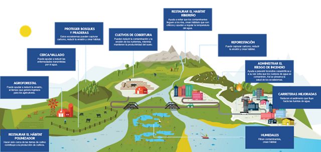 Soluciones basadas en la naturaleza