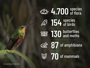A graphic listing 4,700 species of flora, 154 species of birds, 130 species of butterflies and moths, 87 species of amphibians, and 70 species of mammals.