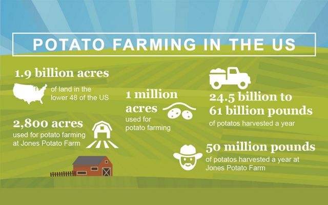 Potato farming by the numbers.