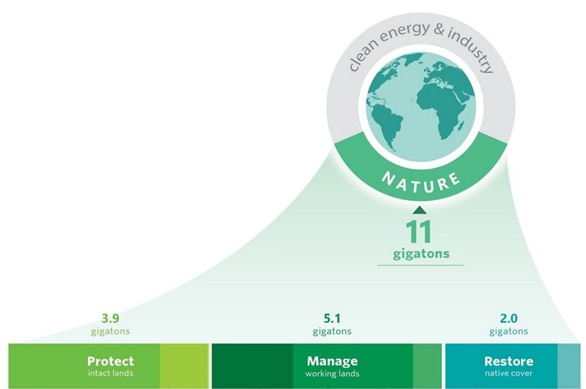 Graphic showing the different pathways to protect, manage and restore lands that add up to 11 gigatons of reduced  emissions.