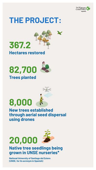 Infographic with key details about the planting of 100,000 trees in the Gran Chaco.