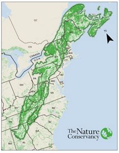 And Our Flag Was Not There A History Of The Second American Civil War   Appalachians Landscape Map 