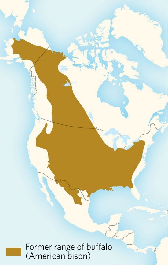 map of North America, brown swatch from Alaska to northern Mexico denotes historic range of American bison