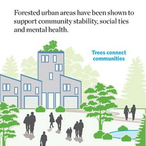 Urban Trees And Climate Change