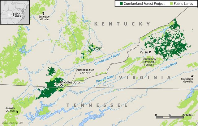 Map depicting the newly conserved forest of the Cumberland Forest Project next to public lands across Kentucky, Virginia, an