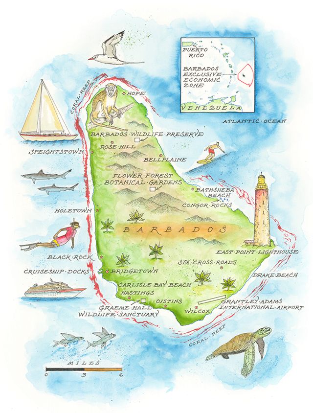 Illustration of the island of Barbados with various island features like snorkeling, sharks, sea turtles, and wildlife preserves, highlighted on the map.