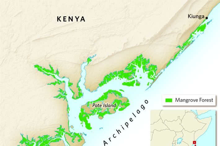 A map shows where mangroves grow in Kenya's Lamu Archipelago.