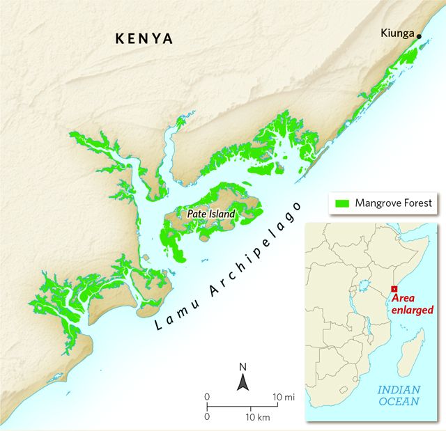 A map shows where mangroves grow in Kenya's Lamu Archipelago.