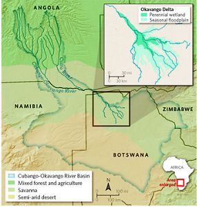 The Okavango Delta: An African Oasis