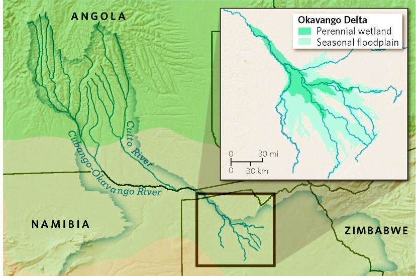 A map shows the Okavango River basin and the surrounding desert, forest and savanna.