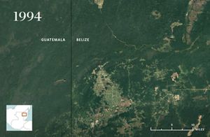 aerial view of forested area with small development