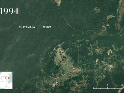 aerial view of forested area with small development