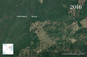 aerial view with development encroaching on forest