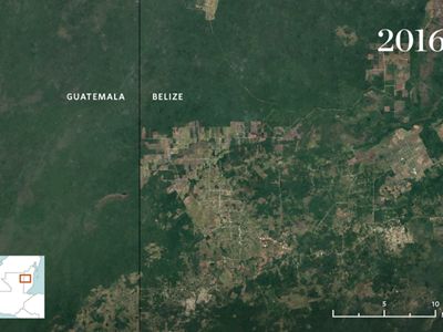 aerial view with development encroaching on forest