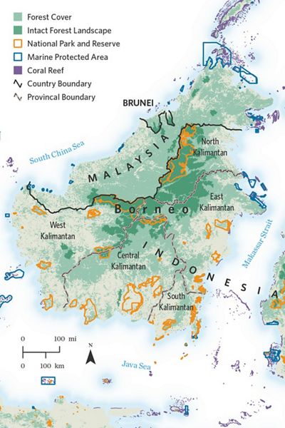 Map of Kalimantan, Indonesia, showing forest cover, intact forest landscape, protected areas, and coral reefs.