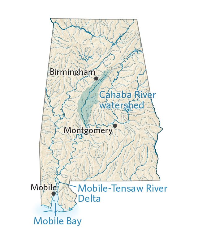 A map of Alabama shows the extensive system of freshwater in the state.